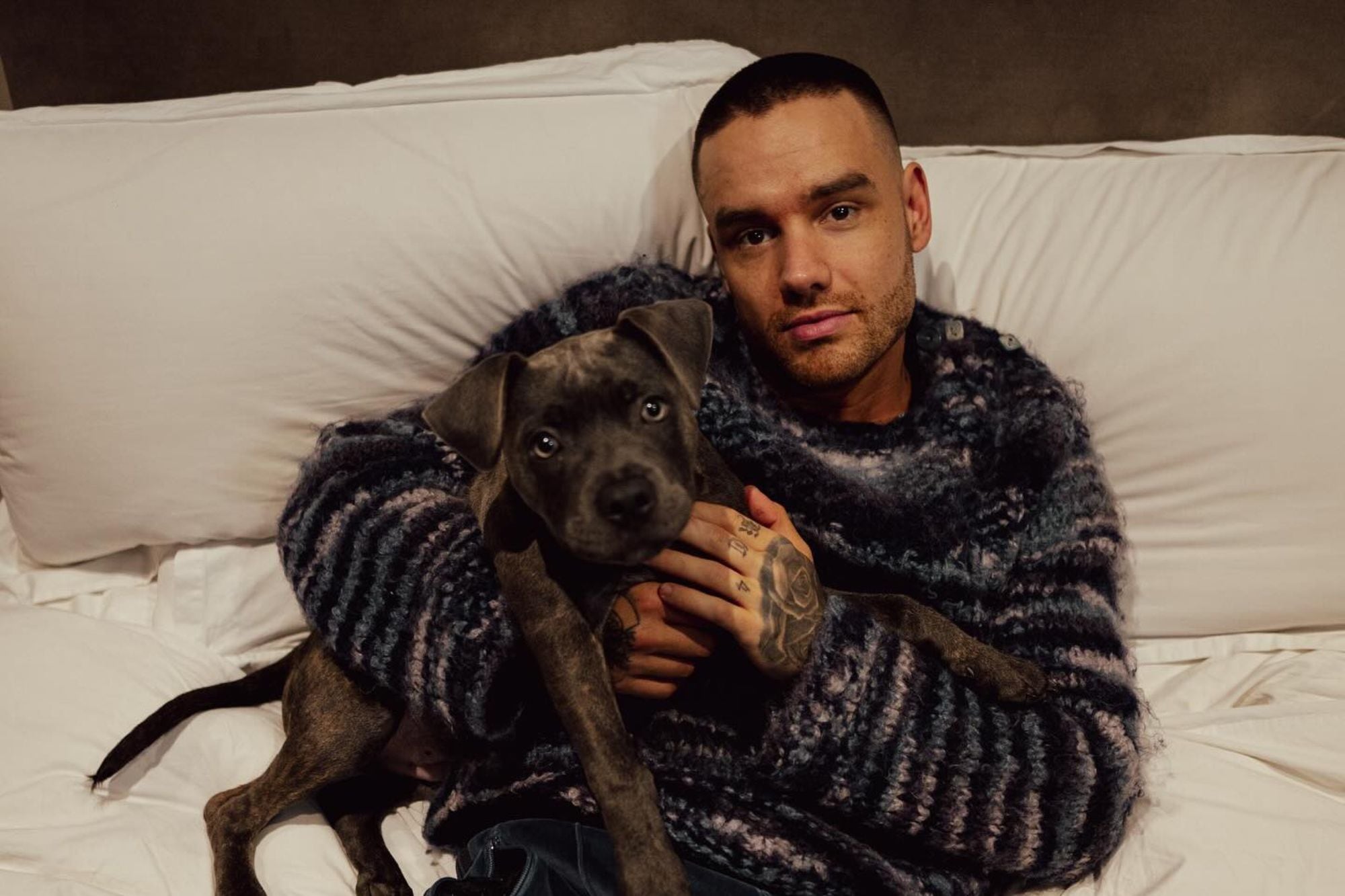 Bear Grey Payne, hijo del fallecido Liam Payne, ser&aacute; el &uacute;nico beneficiario de su herencia de 29 millones de d&oacute;lares.