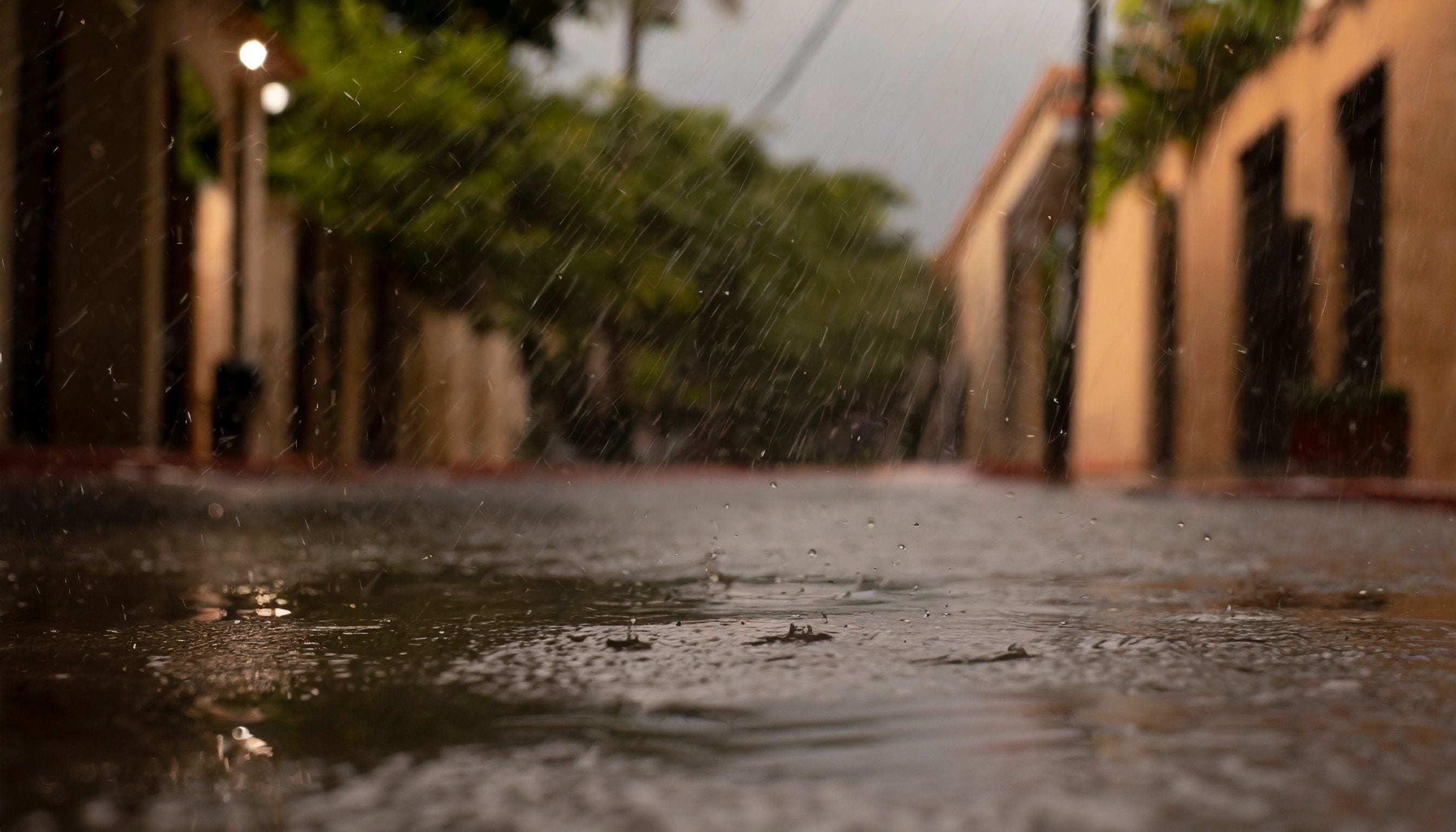 Conoce el clima en Punta del Este: temperaturas, lluvias y viento para hoy.