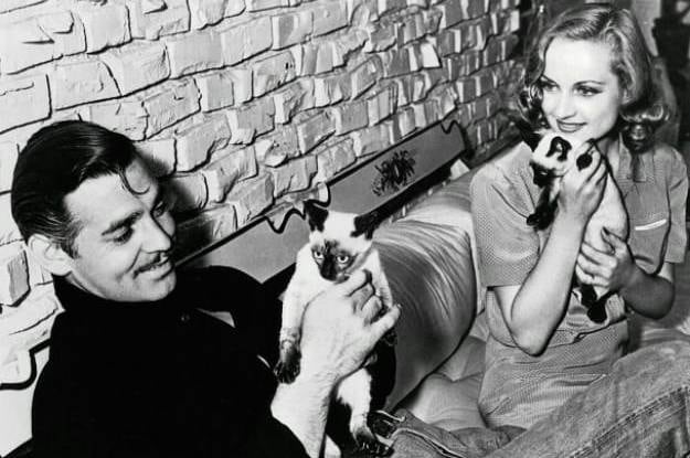 Una historia de amor en Hollywood que terminó en tragedia por una moneda.