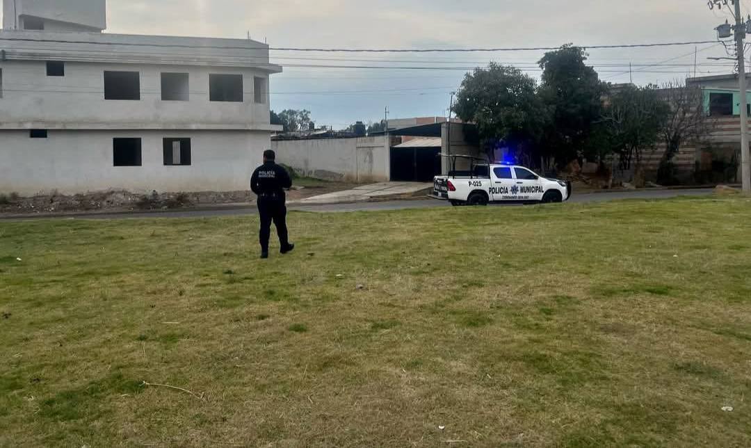 Un hombre fue grabado arrojando cachorros a la calle en Puebla, lo que generó indignación y acción de Protección Animal.