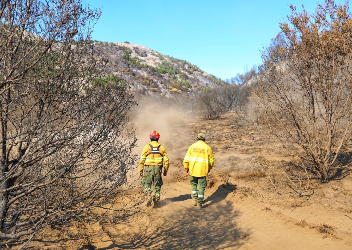 El incendio en el Parque Nacional Lanín consume más de 22 mil hectáreas, mientras brigadistas trabajan para contenerlo.