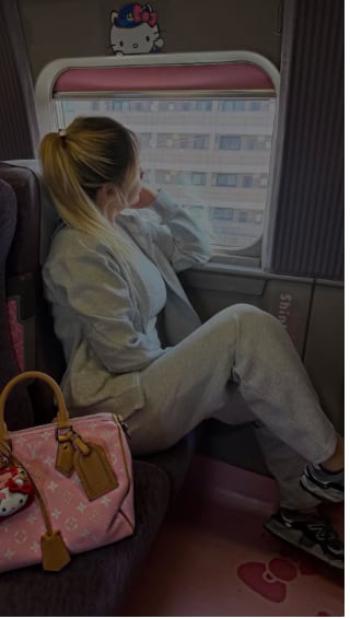 La conducta de la pareja en un tren bala japonés generó fuerte rechazo entre los locales.