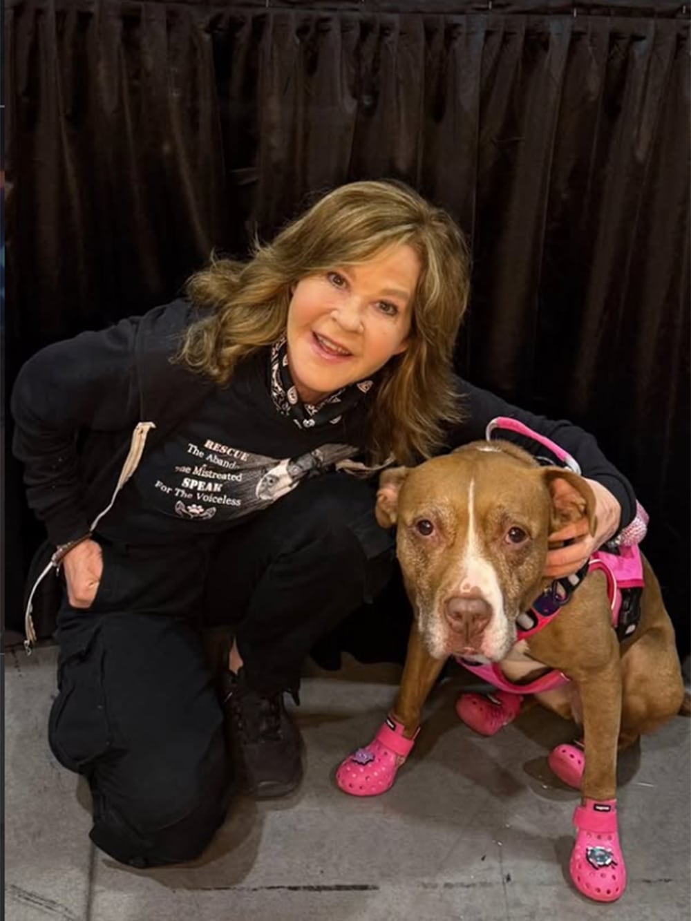 Las autoridades de Los &Aacute;ngeles investigan el refugio de Linda Blair tras denuncias sobre el cuidado de 251 perros.