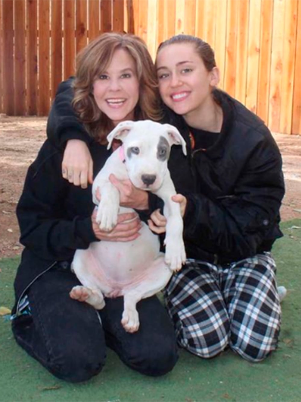 Las autoridades de Los &Aacute;ngeles investigan el refugio de Linda Blair tras denuncias sobre el cuidado de 251 perros.