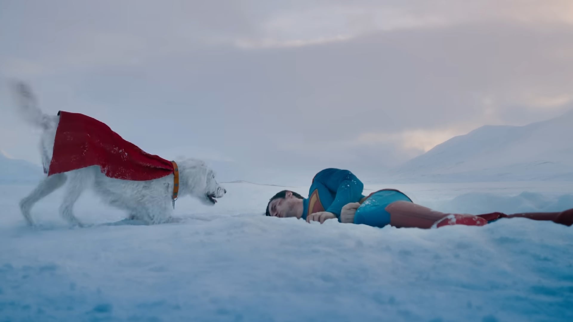 James Gunn anunció que Krypto tendrá una serie de cortometrajes tras el estreno de Superman, que llega en julio.