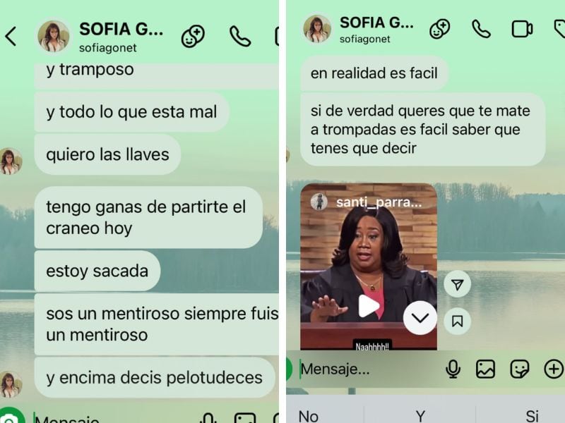 La tarde del sábado se tornó tensa tras la exposición de chats entre Sofía Gonet y Homero Pettinato.