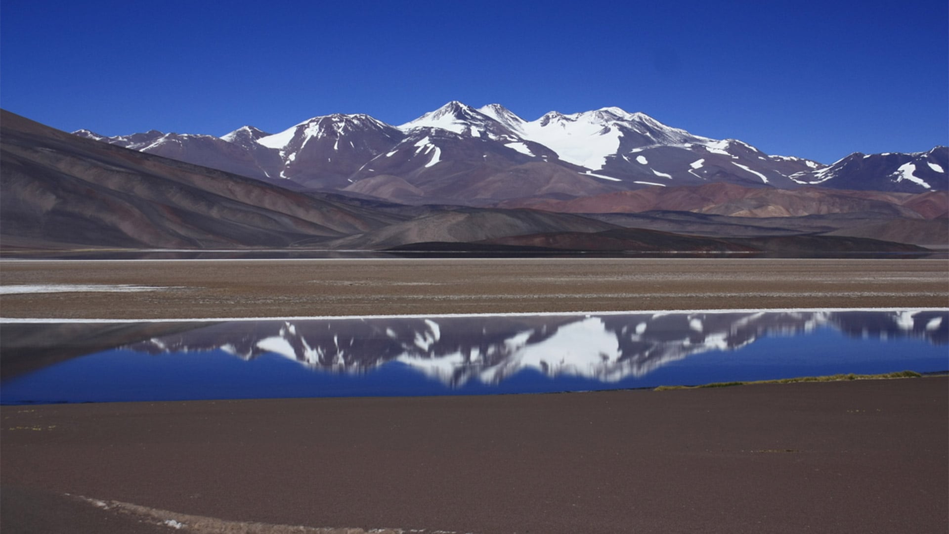 Los glaciares del mundo están perdiendo hielo a un ritmo acelerado, aumentando el riesgo de inundaciones en zonas costeras.