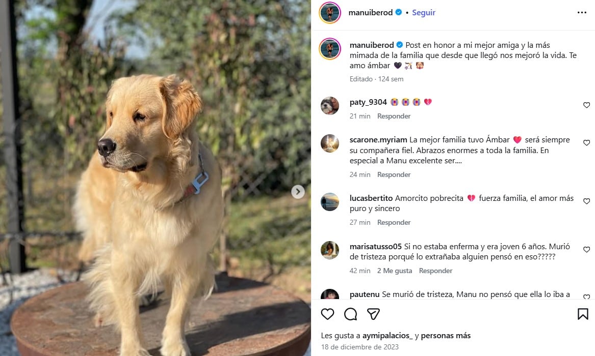 El participante de Gran Hermano recibió la triste noticia y se mostró devastado por la pérdida de su mascota.
