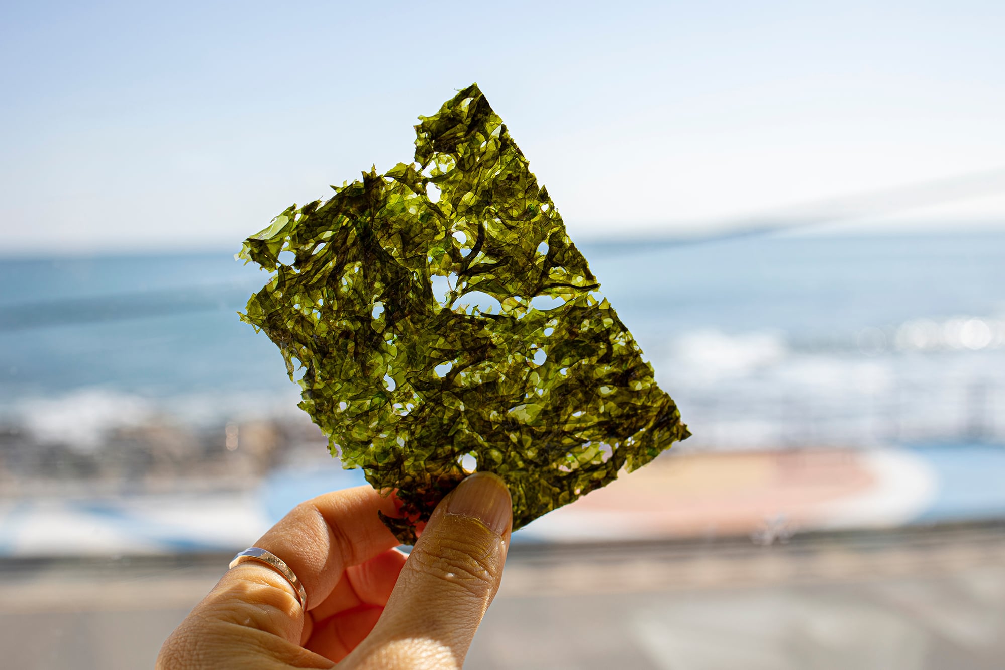 Descubre los beneficios del nori, un alga rica en proteínas y nutrientes esenciales para la dieta.