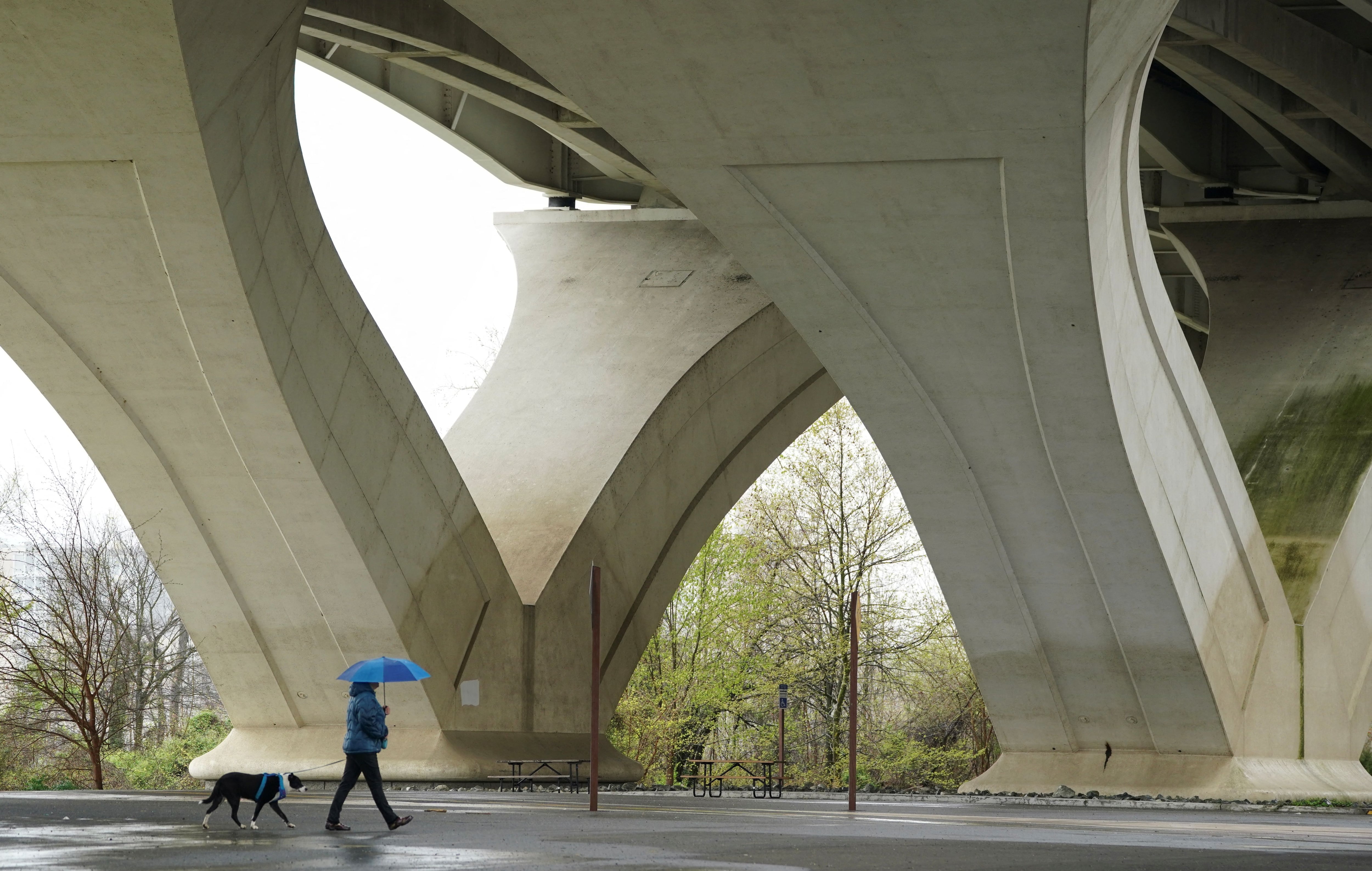 Consulta el pronóstico del clima en Reston, Virginia, para decidir tu vestimenta.