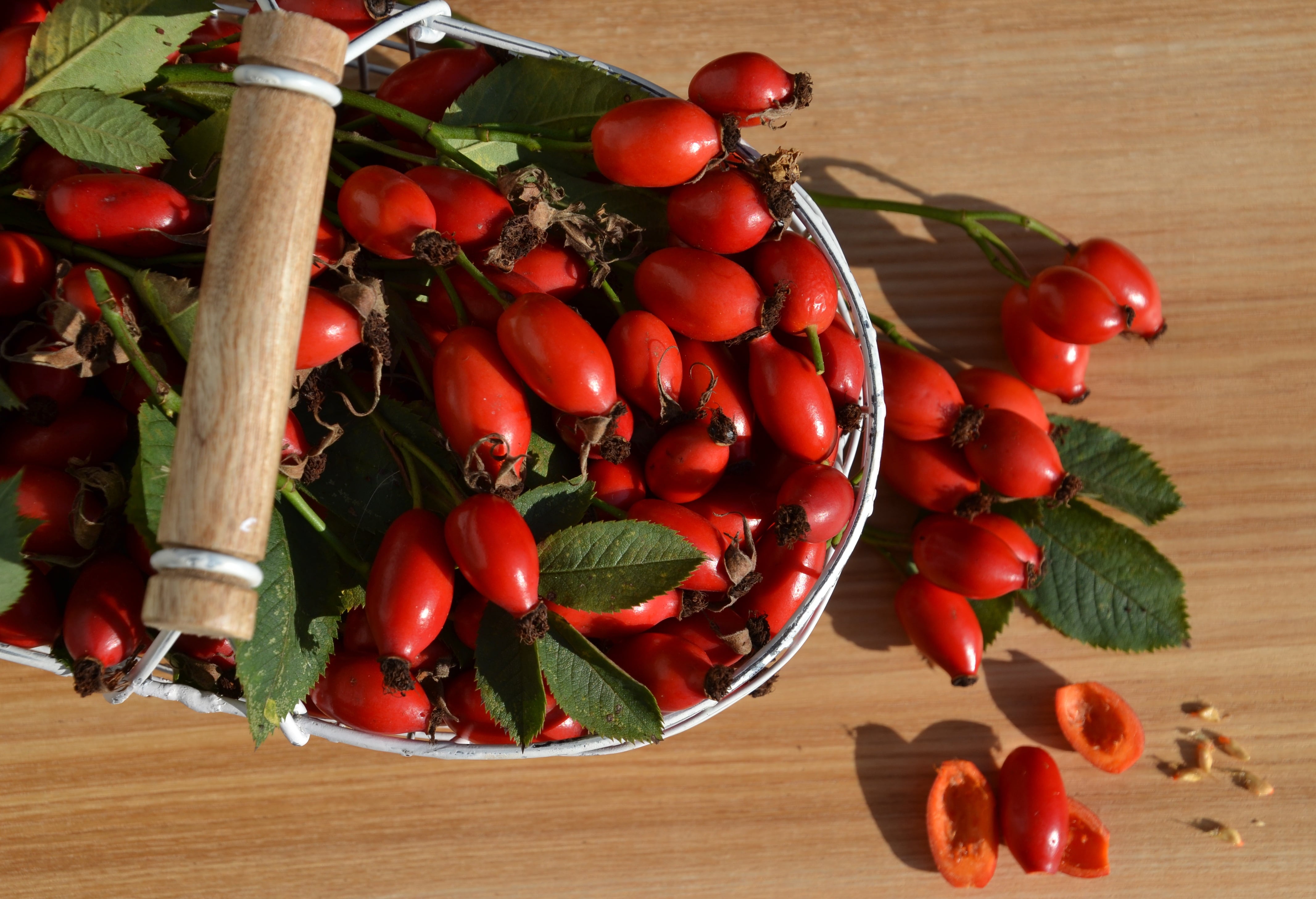 Descubre las propiedades y usos de la rosa mosqueta, rica en nutrientes y beneficios para la salud.