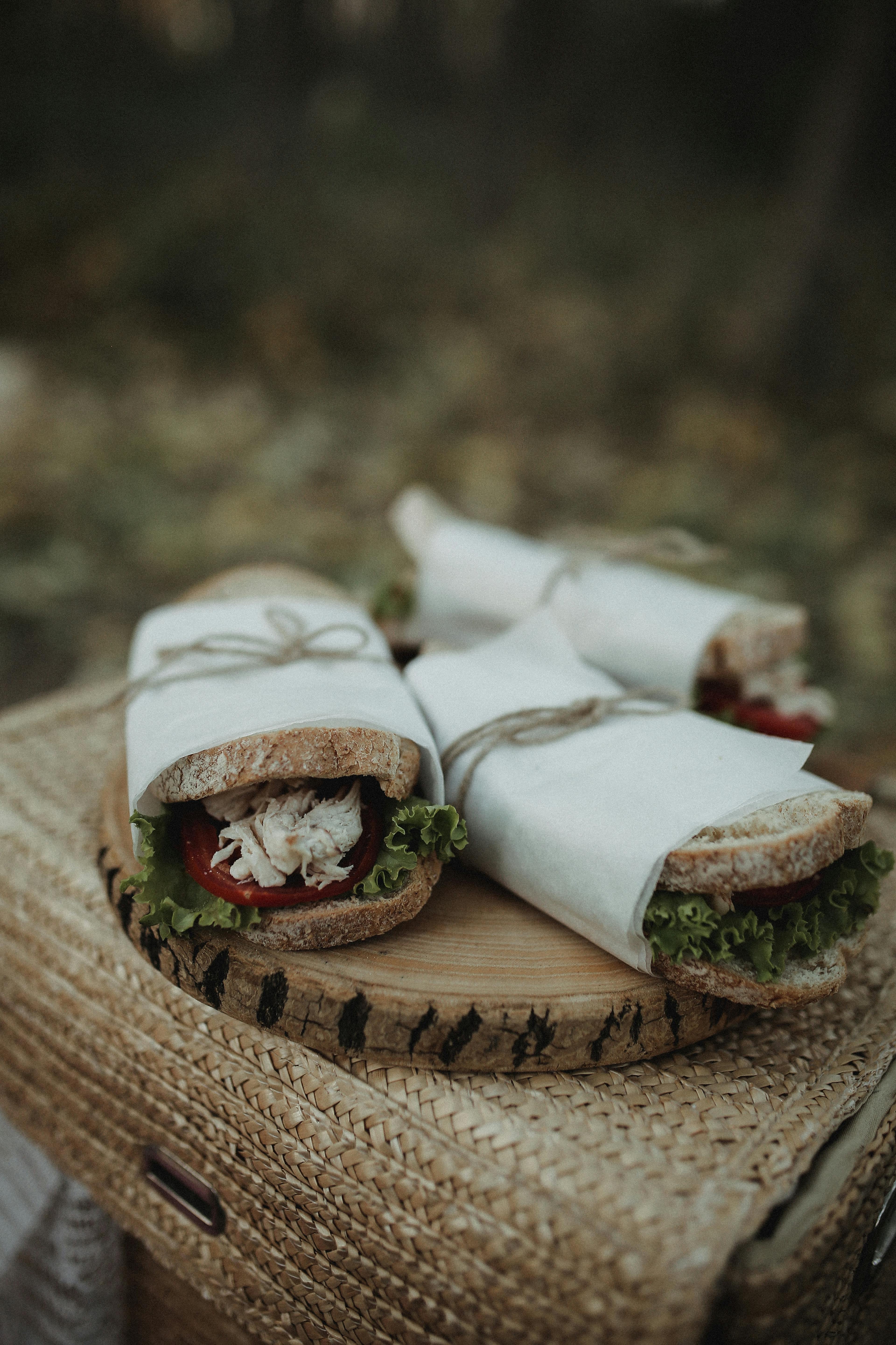 Descubre tres deliciosas opciones de sándwiches para llevar en tus viajes de verano.